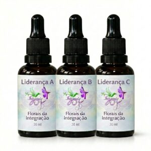 Kit Sequência Liderança da Florais da Integração com 3 frascos de 30 ml