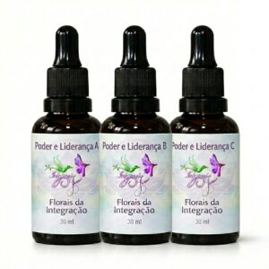 Kit Sequência Poder e Liderança da Florais da Integração com 3 frascos de 30 ml